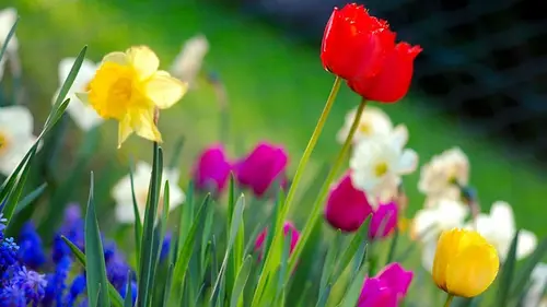 Гороскоп на неделю: для всех знаков зодиака