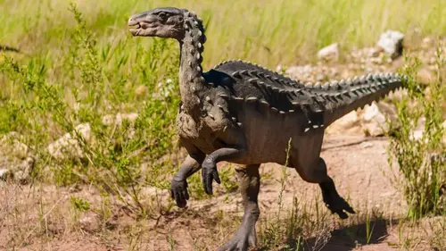 В Корее нашли останки динозавра с камнями в желудке: ученые дали объяснение