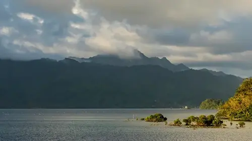 Новый остров обнаружен в Тихом океане: его создали люди из остатков еды 120...