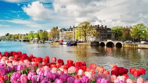 Цветочный туризм стал одним из главных трендов в 2026 году: 5 лучших мест в мире...