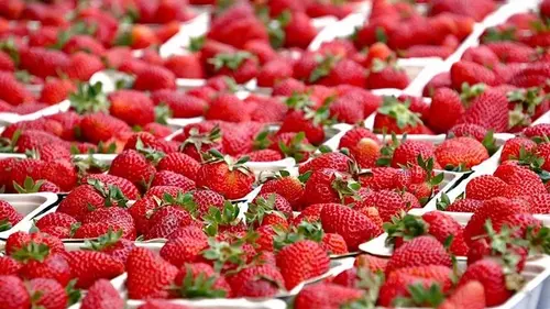Цены на клубнику в Украине обрушил импорт: летом ягода может подорожать, – ...