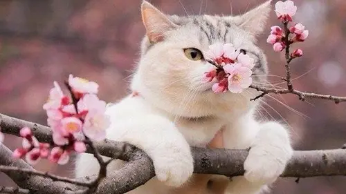 Май в Украине: прогноз погоды и климатические особенности