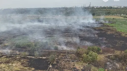 Под Одессой тлеют 8 гектаров камыша и травы