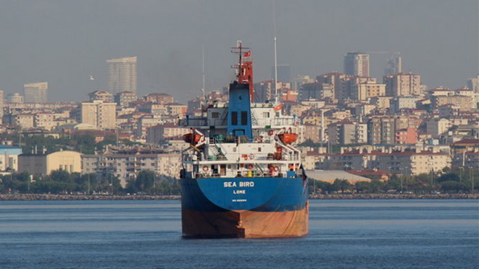 В Критском море затонуло судно с 7 тыс. тонн украинской пшеницы