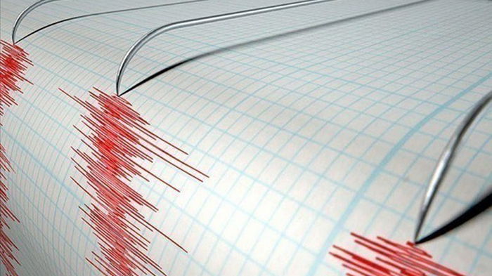 Остров Ла-Пальма всколыхнуло мощное землетрясение