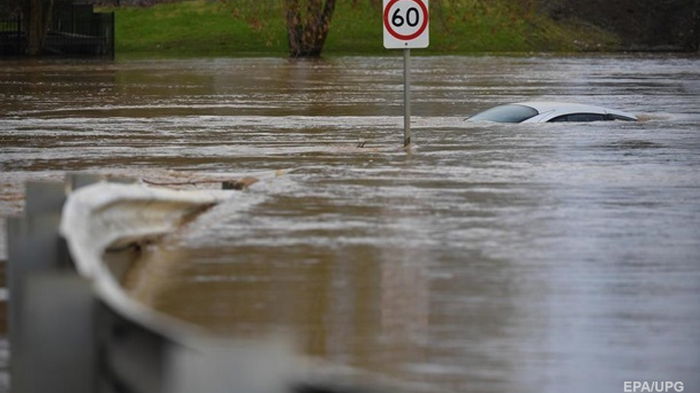 Наводнение в Австралии: мужчина шесть часов держался за дерево