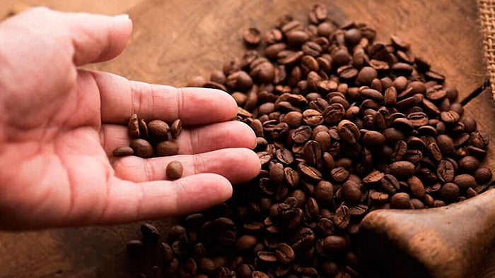 Либерика — самый редкий сорт кофе