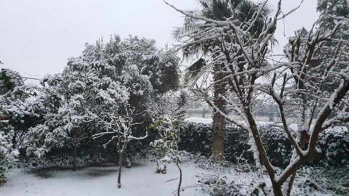 В Анталии выпал снег впервые за 29 лет (фото)