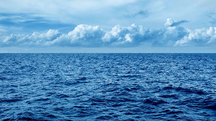 NASA прогнозирует исторический рост уровня океана в ближайшие 30 лет: чем это грозит