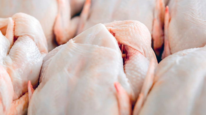 Египет открыл рынок для украинского мяса птицы
