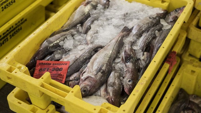 Украина за 2021 год почти на 30% нарастила объем импорта рыбы и морепродуктов
