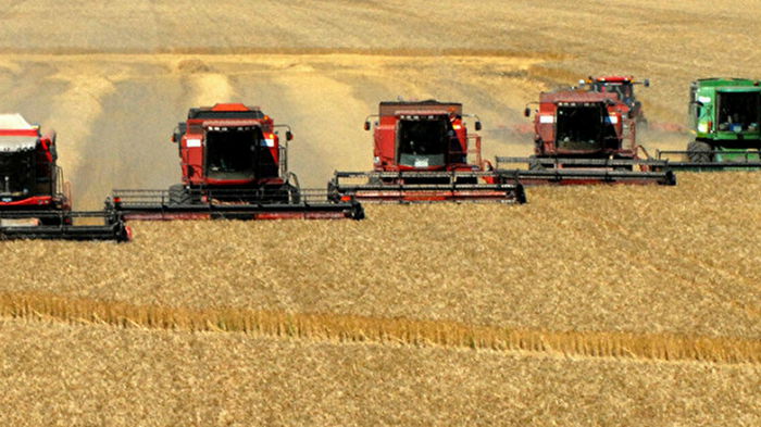 Россия планирует наложить запрет на экспорт зерновых