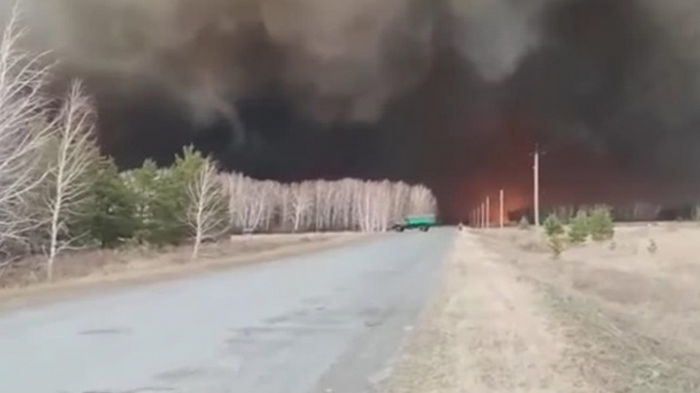В России с начала года природные пожары охватили 2 млн га