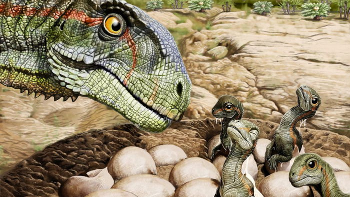 Ученые выяснили, что динозавры жили в стадах еще 193 млн лет назад