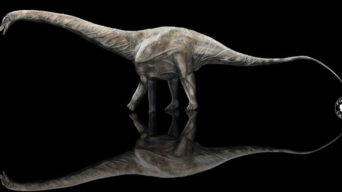 Длиной более 40 метров. Ученые назвали самого длинного в истории динозавра