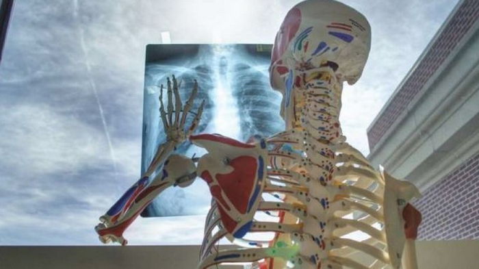 Создан самый чувствительный рентген аппарат: он покажет человеческие клетки в реальном времени