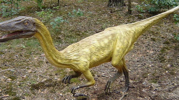 Ученые выяснили, как динозавры использовали хвост при ходьбе