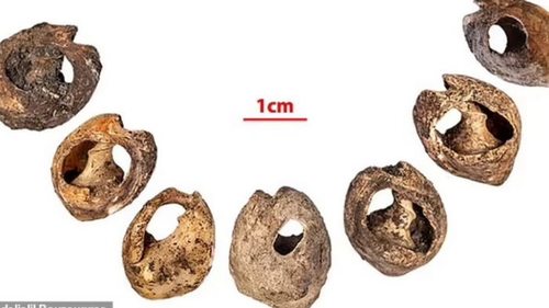 Бусы возрастом 150 тыс. лет. Археологи нашли самые древние в мире ювелирные...
