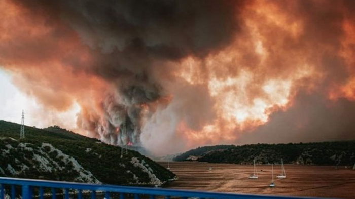 В Хорватии произошел масштабный лесной пожар