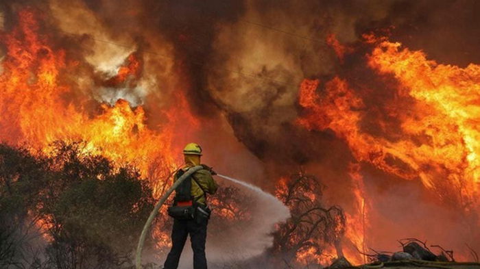В США бушуют лесные пожары