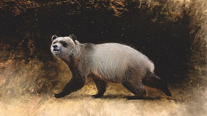 В Болгарии обнаружили доисторические останки панд