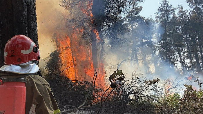 Во Франции бушуют масштабные лесные пожары
